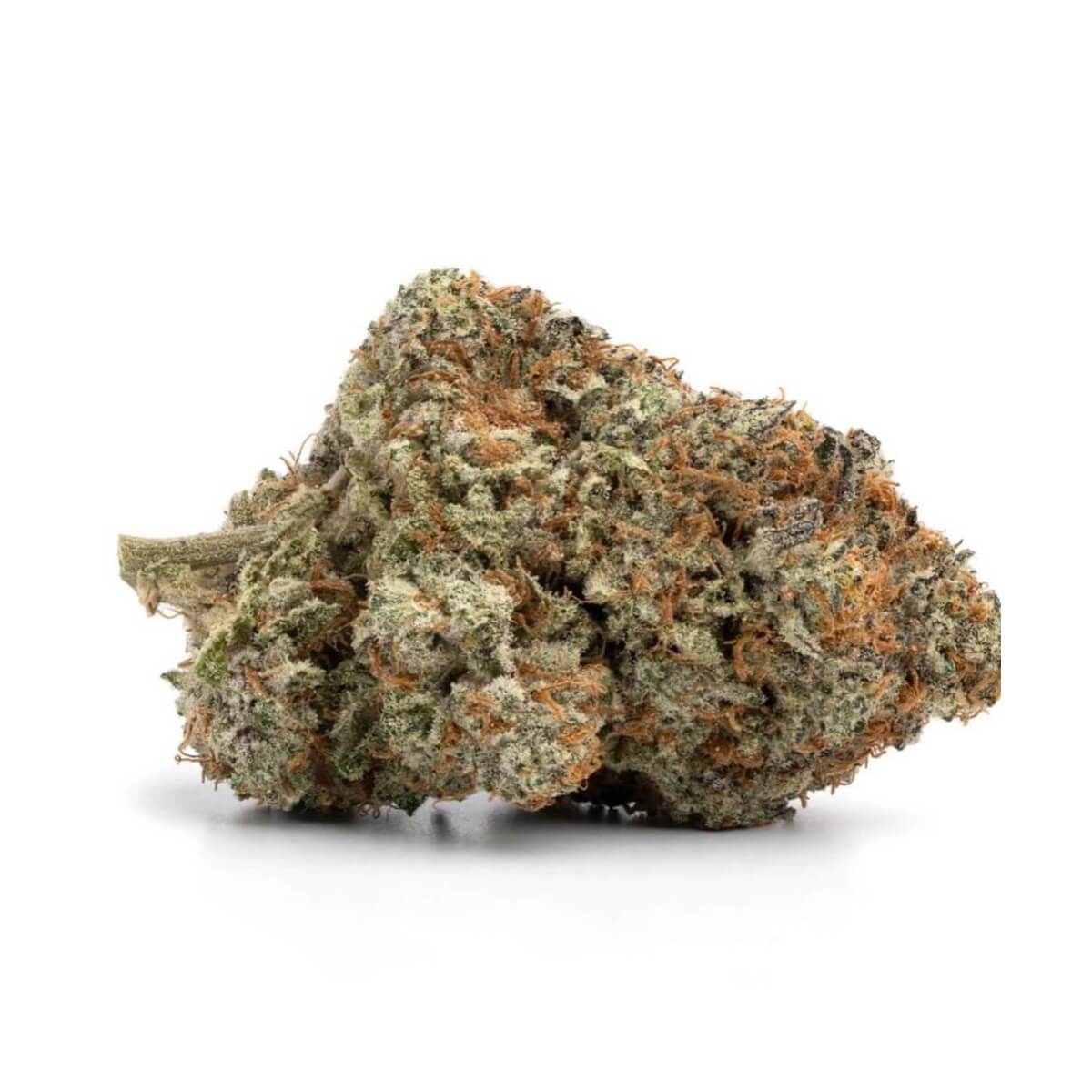 Frosted Fruitcake Smalls (Aaaa+) 1 frosted fruitcake smalls (aaaa+)