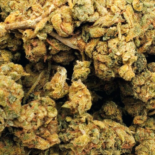 apricot kush (aa+)