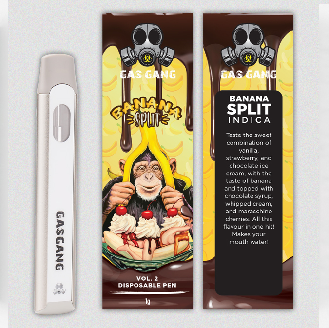 Gas Gang | Disposable Vape Pen (1G) **Assorted** 2 gas gang | disposable vape pen (1g) **assorted** - image 2