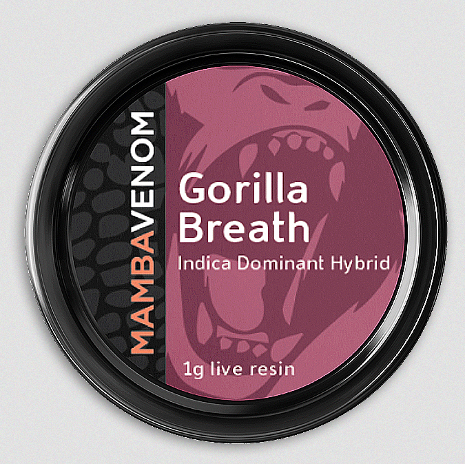 Mamba Venom Live Resin | Gorilla Breath 1 bred by humboldt seed organization, gorilla breath crosses original glue with ogkb to get a hybrid with a high resin production and a strong og aroma. with a delicious flavor profile including notes of pine, fuel, chocolate, and diesel, you’ll surely want to try this strain.
