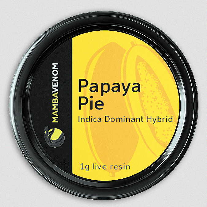 Mamba Venom Live Resin | Papaya Pie 1 papaya pie is an indica-dominant hybrid cannabis strain that is known for producing a mental calmness, though many consumers also find that this strain makes them energetic and productive. nirvana seeds bred this to be their take on a mango strain and crossed citral #13 with ice #2 to make their own fruit. they met their own challenge and papaya smells uncannily like its namesake. the taste is similar to its tropical fruit counterpart, but a spicy, peppery side also becomes apparent. the plants stay fairly short and thin, producing lots of fluffy buds with papaya-orange hairs in 8 or 9 weeks.
