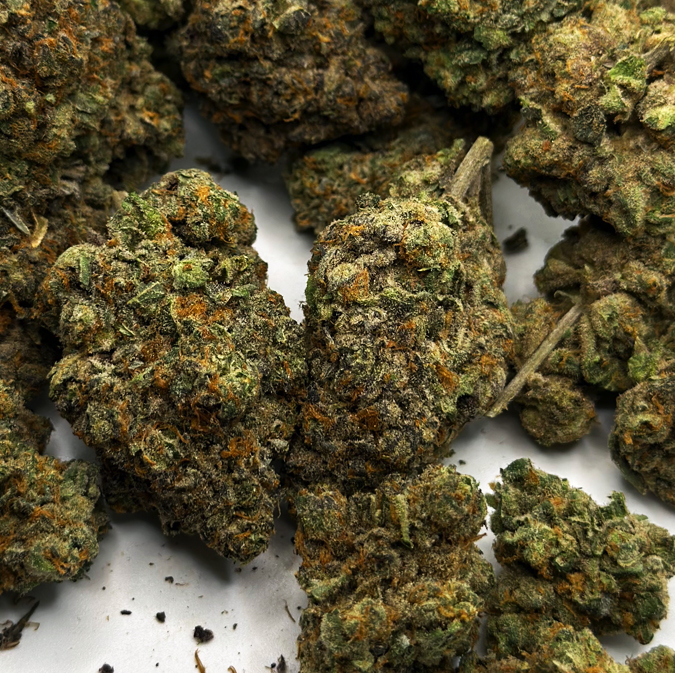 Area 41 (Aaa+) 1 lemon fuel og and gelato 41 combine in area 41, a staple weed strain from alien labs. fuel and creamy berry terpenes stain the palate with flavors of lemon and earth. the effect? lovely, high-thc hybrid vibes from area 41 for a workday afternoon into night, or a weekend day spent all turnt up. reviewers report getting chatty and aroused as area 41 cannabis zapped their pain and stress.