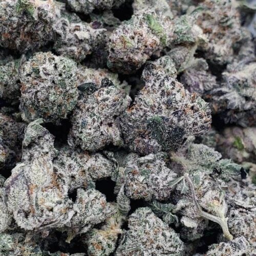 black mac (smalls) (aaa+)