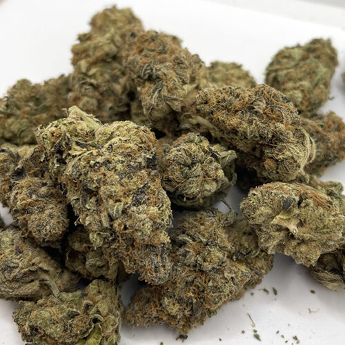 Buy Weed Online In Canada With Get High Cannabis Dispensary 64 cereal milk is a hybrid marijuana strain from cookies. cereal milk is made by crossing y life (cookies x cherry pie) and snowman, a sativa-dominant cookies pheno. cereal milk has a loud flavor with a sweet milk and ice cream nose that will keep you dipping back into your stash. you can expect dense, quality nugs dripping with trichomes and a potent high.