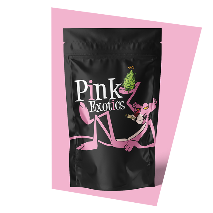 Pink Exotics | Pink Lizard (Aaaa++) 1 pink exotics | pink lizard (aaaa++)