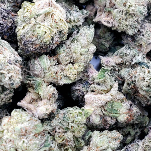 Purple Mimosa (AAA+)