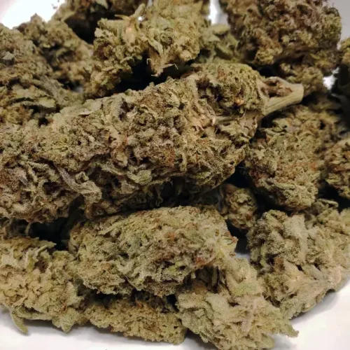 Buy Weed Online In Canada With Get High Cannabis Dispensary 14 strawberry shortcake (aaa+)