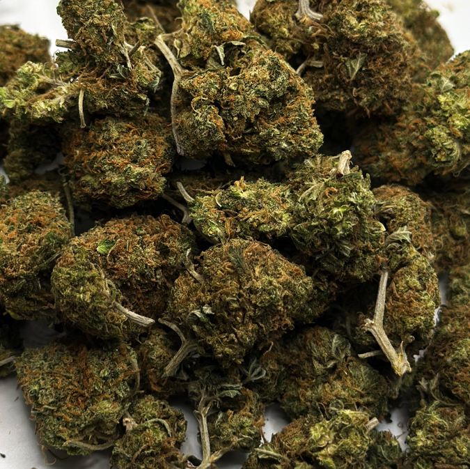 Wasabi (Aaa) 1 wasabi is a slightly indica dominant hybrid strain (60% indica/40% sativa. known for its gorgeous appearance and pretty well balanced high, wasabi is perfect for any indica lover. this bud has small and fluffy rounded forest green nugs with deep blue undertones, vivid orange hairs and a thick frosty coating of gorgeous tiny blue-tinted white crystal trichomes. as you pull apart each sparkling little nugget, aromas of spicy flowers and rich earthy pine are released, almost like walking through a forest after a rainstorm. the flavor is of sweet earth and spicy flowers with a mellow herbal tea-like taste that lingers on the tongue. the wasabi high comes on with a slow sneaking creep, sneaking into you before launching you into a lifted and energized state. you’ll feel a budding euphoria accompanied by a tingly buzzy body high that quickly makes your energy level u-turn into deep relaxation and ease. with these full-bodied effects and its high 13-20% average thc level, wasabi is often chosen to treat conditions such as eye pressure or glaucoma, appetite loss or nausea, spasticity, chronic stress and chronic pain.