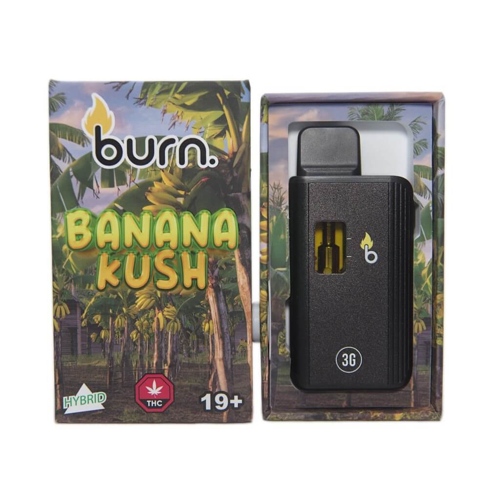 Burn Lifestyle Co. | Disposable Vape (3G) 18 burn lifestyle co. | disposable vape (3g) - image 18