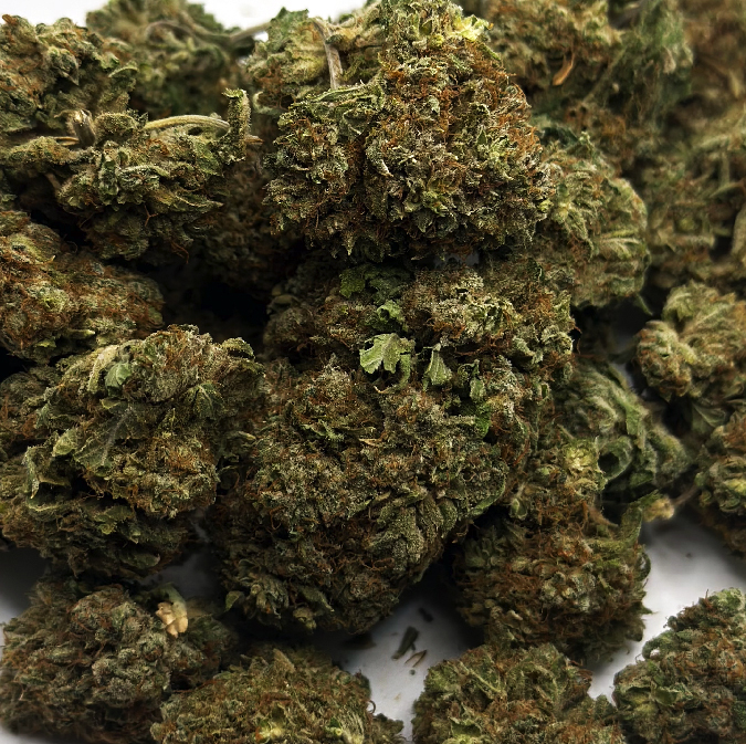 Bc Big Bud (Aaa) 1 bc big bud is a strain of cannabis that is a hybrid of sativa and indica with potent cerebral effects. it has a fruity, citrusy aroma and is known to provide relief from pain and nausea. bc big bud plants have a flowering period of 8 to 9 weeks and produce large harvests, making it popular among growers and consumers.