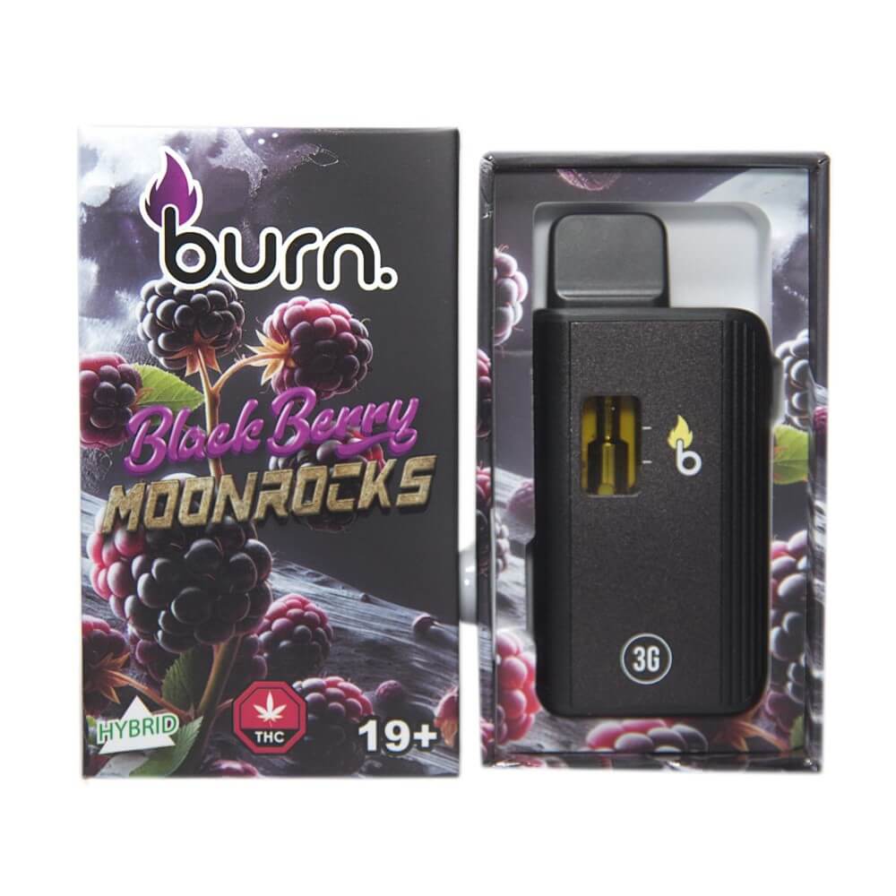 Burn Lifestyle Co. | Disposable Vape (3G) 19 burn lifestyle co. | disposable vape (3g) - image 19