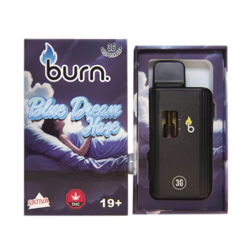 Burn Lifestyle Co. | Disposable Vape (3G) 20 burn lifestyle co. | disposable vape (3g) - image 20