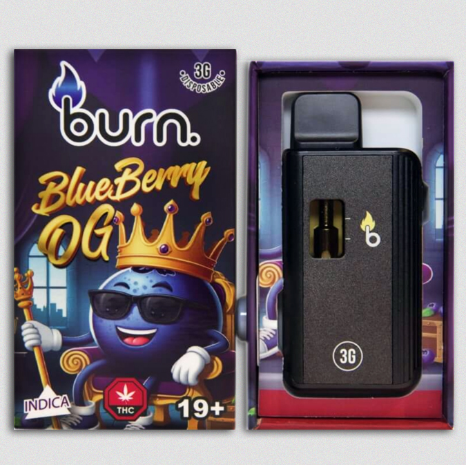 Burn Lifestyle Co. | Disposable Vape (3G) 16 burn lifestyle co. | disposable vape (3g) - image 16