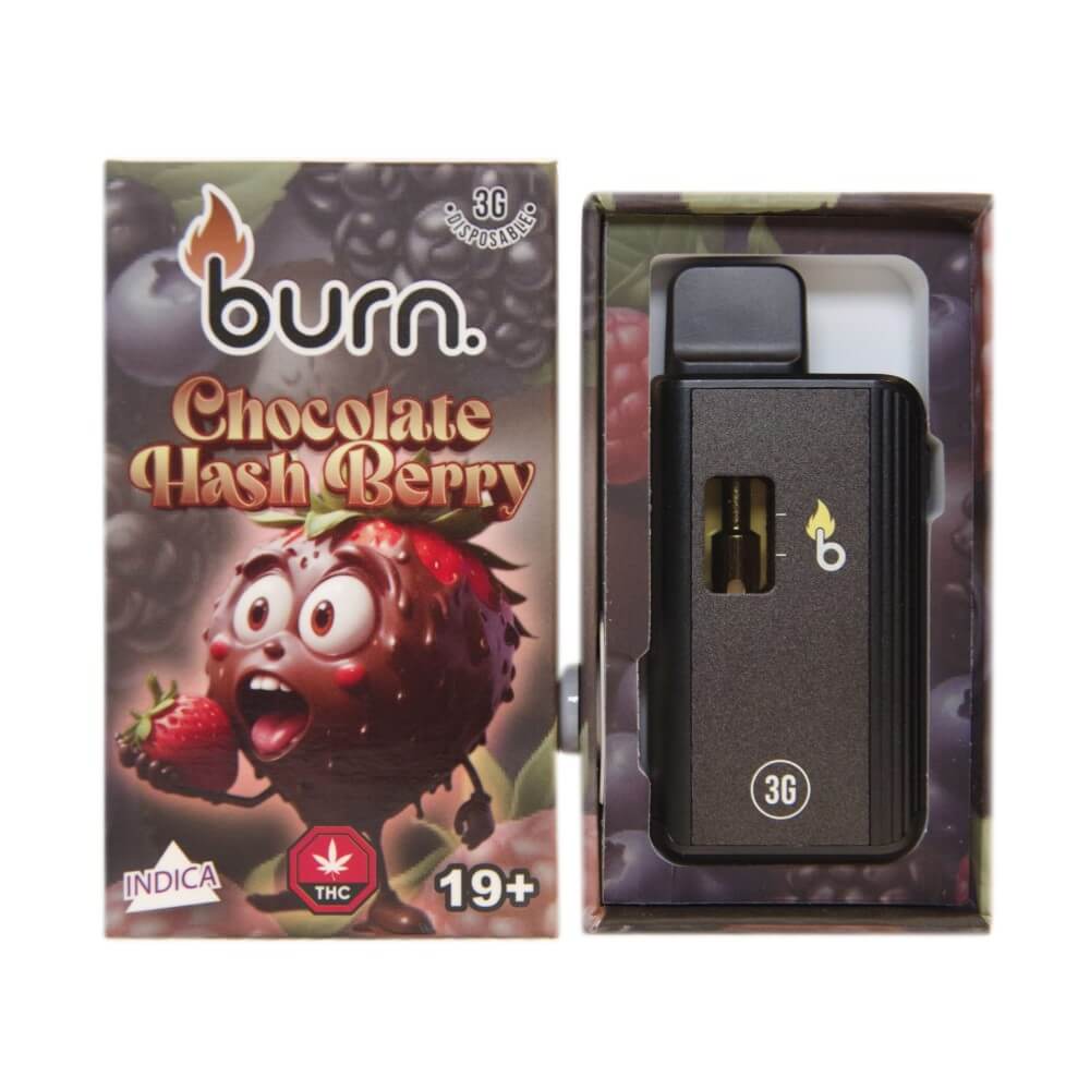Burn Lifestyle Co. | Disposable Vape (3G) 23 burn lifestyle co. | disposable vape (3g) - image 23