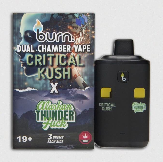 Burn Co. | Dual Chamber Disposable Vapes (6G) 2 burn co. | dual chamber disposable vapes (6g) - image 2