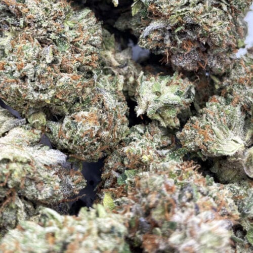 Pink Gas (AAAA)