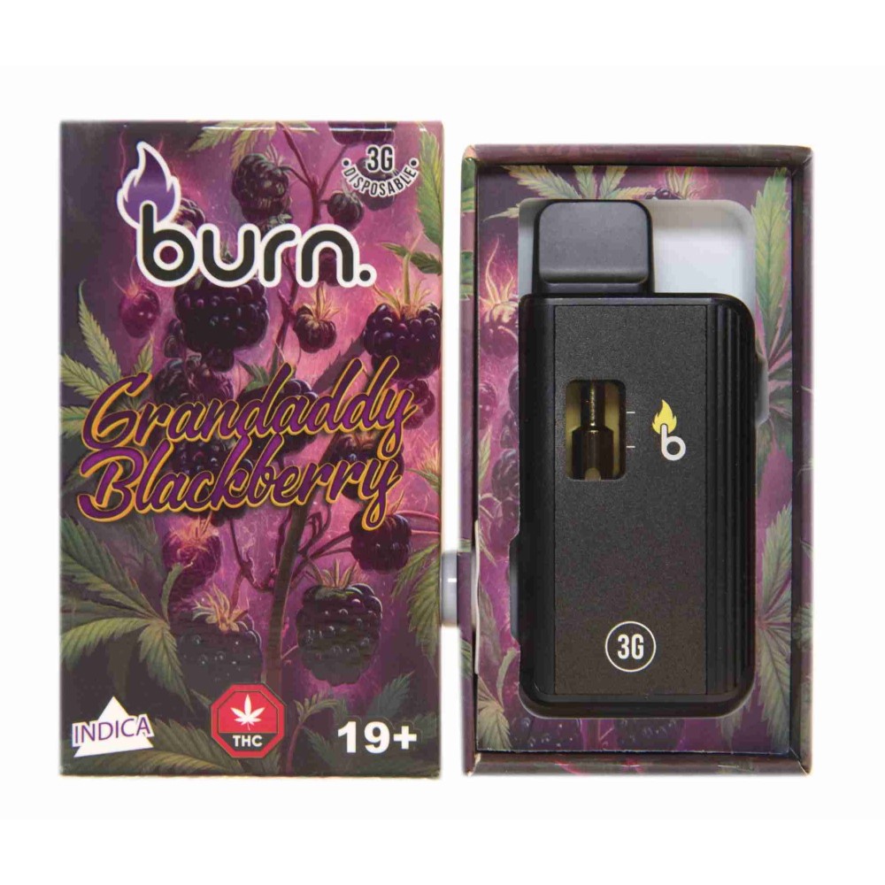 Burn Lifestyle Co. | Disposable Vape (3G) 25 burn lifestyle co. | disposable vape (3g) - image 25