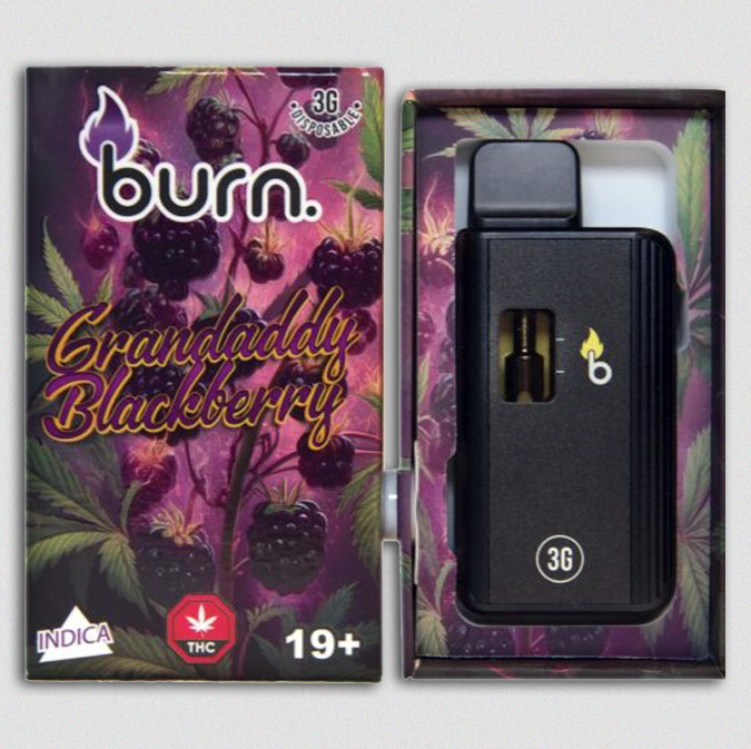 Burn Lifestyle Co. | Disposable Vape (3G) 12 burn lifestyle co. | disposable vape (3g) - image 12