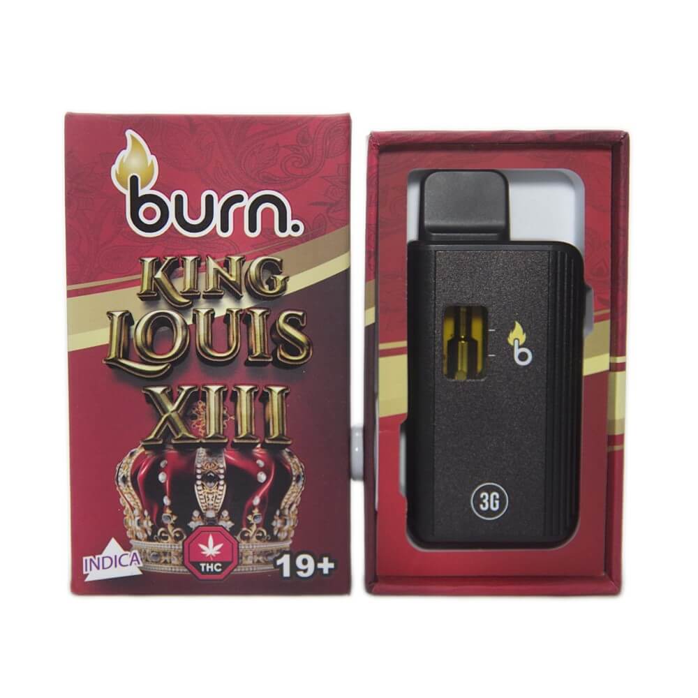 Burn Lifestyle Co. | Disposable Vape (3G) 24 burn lifestyle co. | disposable vape (3g) - image 24