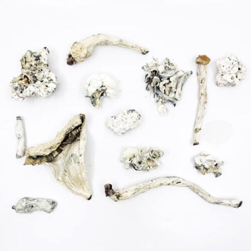 enigma (aaaa+) **very rare // potent**