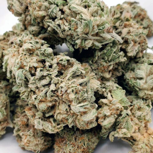 Buy Weed Online In Canada With Get High Cannabis Dispensary 22 park fire og, an indica-dominant hybrid descending from og kush and sfg og, boasts a striking appearance with forest-green leaves, purple tinges, fiery red pistils, and a silver kief coating. contrary to its fiery look, it offers a sweet and skunky flavor with a citrusy, sour candy aroma. this strain has an intense thc content of 30-35%, leading to a potent high that starts with a euphoric head buzz and transitions into a deep body relaxation. ideal for experienced users, it's effective for insomnia, anxiety, and stress, but beginners should approach with caution due to its powerful effects.