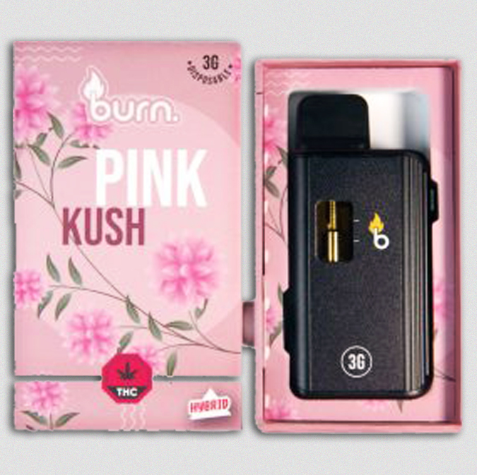 Burn Lifestyle Co. | Disposable Vape (3G) 6 burn lifestyle co. | disposable vape (3g) - image 6