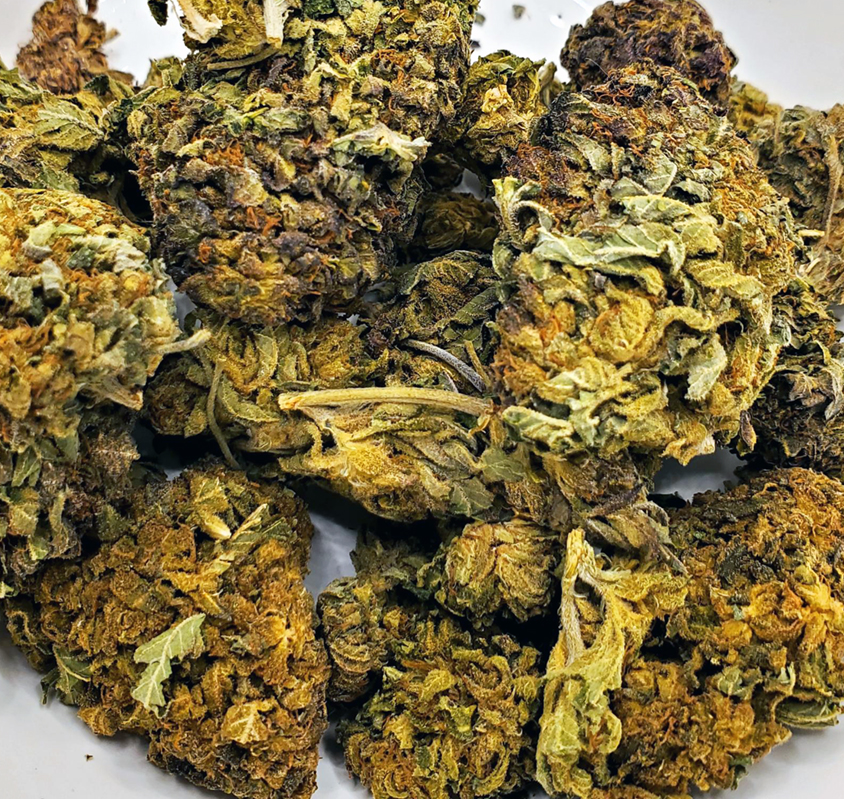 Purple Kush (Aa+) 1 purple kush is a pure indica strain resulting from a cross between hindu kush and purple afghani varieties. recognized by high times magazine as one of the world's most potent strains, it has an average thc content of 22%. the high from purple kush is described as immediately euphoric and uplifting, providing pain relief and introspection. this is followed by a warm, numbing sensation that spreads throughout the body, leading to deep relaxation and sedation. as the effects wane, users are lulled into a deep, restorative sleep. because of these strong effects, it's recommended for treating insomnia, chronic pain, nerve damage, and muscle spasms. the strain has a distinctive earthy and sweet grape aroma, with a flavor reminiscent of red wine. its buds are bright neon green with purple and orange hues, covered in white trichomes and sticky resin.