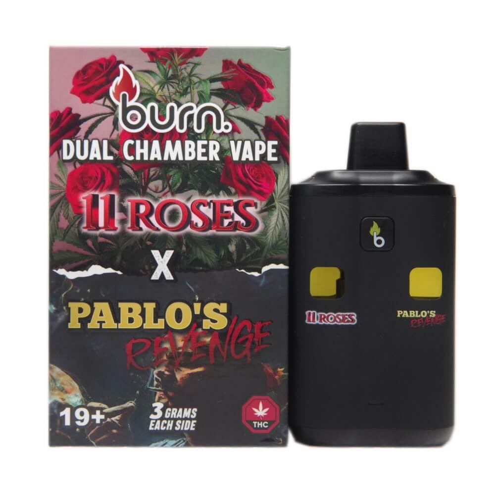 Burn Co. | Dual Chamber Disposable Vapes (6G) 13 burn co. | dual chamber disposable vapes (6g) - image 13