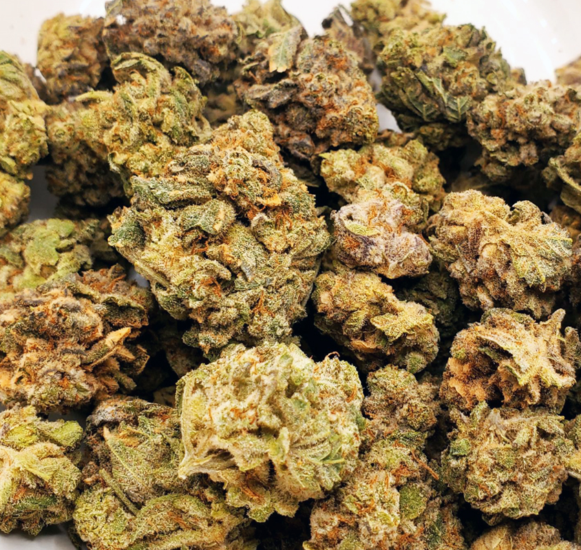 Sour Mango **Smalls** (Aaa+) 1 sour mango is a sativa-dominant hybrid strain (70% sativa/30% indica) resulting from a cross between sour diesel and mango haze. renowned for its unique flavor and energizing effects, it offers a sour tropical mango taste with hints of spicy diesel. the aroma combines spicy diesel with sour tropical citrus and fresh mango. consuming sour mango leads to an invigorating high that uplifts the mood, induces euphoria, and brings about a giggly sensation. users might also experience a physical tingle that energizes the muscles. given its thc content of 23-25%, it's beneficial for addressing chronic fatigue, depression, stress, appetite loss, and nausea. the bud features bright neon green nugs, rusty orange hairs, and a layer of white crystal trichomes.