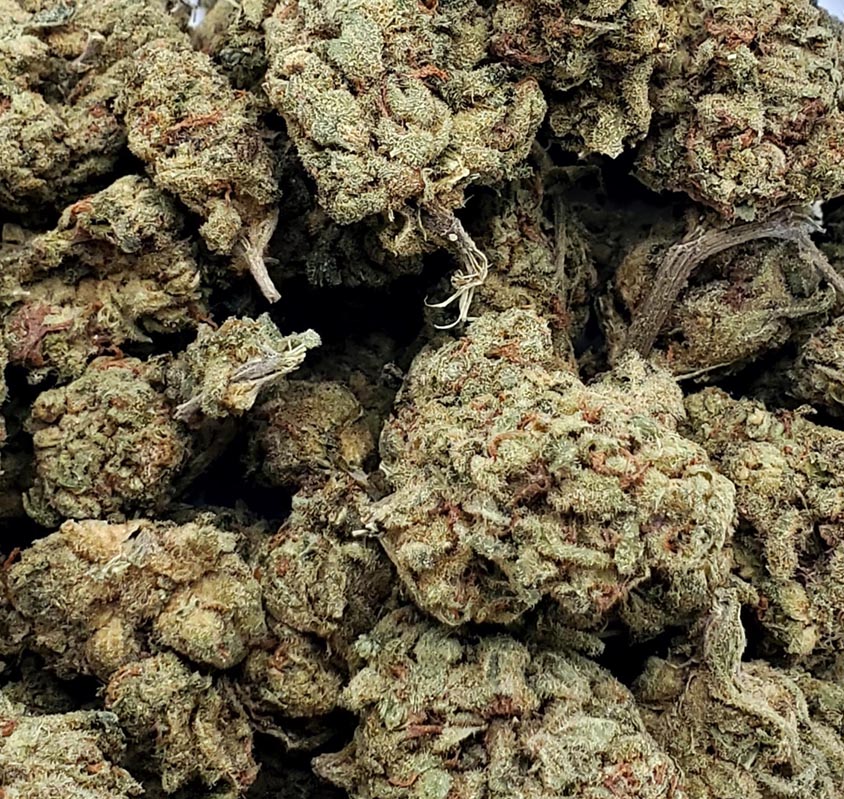 Sugar Breath (Aa+) 1 sugar breath (aa+)